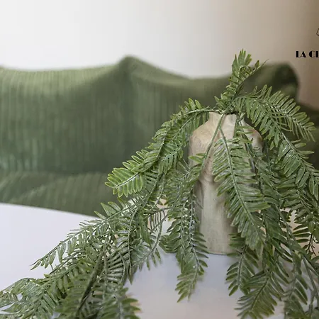 Capucine - Haussmannien De Charme - 50m Apartamento Les Sables-dʼOlonne