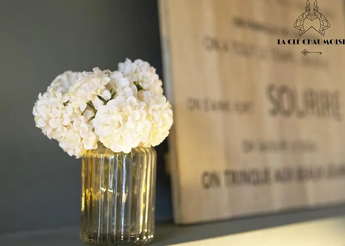 Capucine - Haussmannien De Charme - 50m *