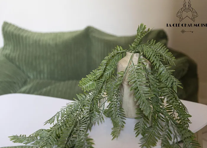 Capucine - Haussmannien De Charme - 50m شقة لي سابلِ دولونْ